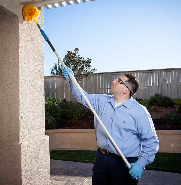 Why Choose Cincinnati Pest Control Pro for Foundation Termite Treatment in Cincinnati, OH?