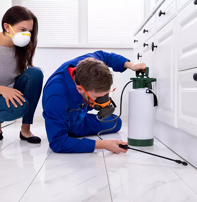 Why Cincinnati, OH Homeowners Trust Cincinnati Pest Control Pro for Roach Control?