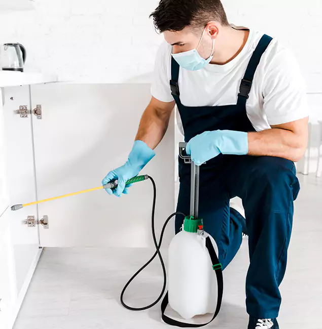 Why Choose Cincinnati Pest Control Pro for Indoor Pest Control in Cincinnati, OH?