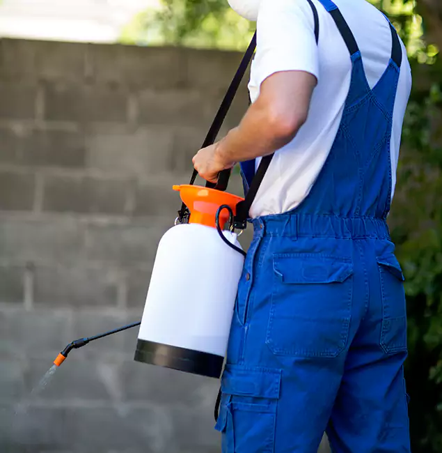 Why Cincinnati Homeowners Rely on Cincinnati Pest Control Pro for Mosquito Control?