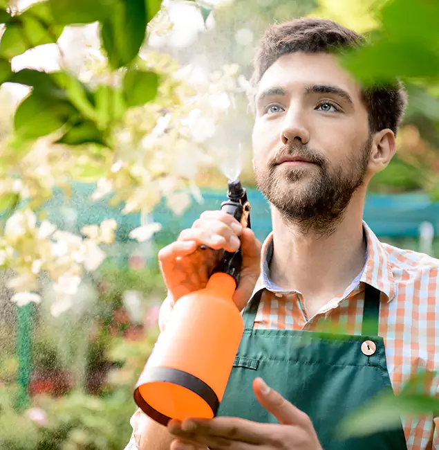 Why Cincinnati Pest Control Pro Is the Best Mosquito Control Company in Cincinnati, OH?
