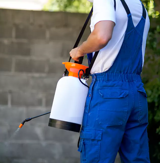 Why Cincinnati Pest Control Pro Delivers the Best Mosquito Control in Cincinnati, OH?