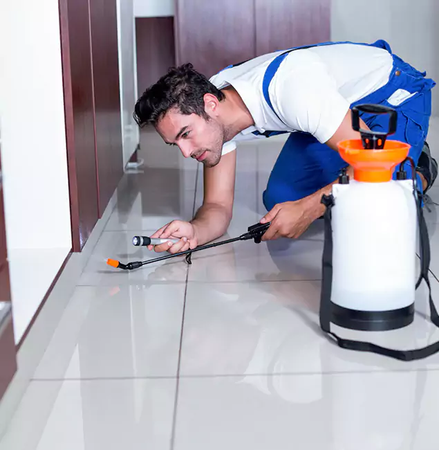 Why Cincinnati Pest Control Pro Is the Proven Choice in Cincinnati, OH?