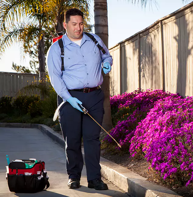 Why Choose Cincinnati Pest Control Pro in Cincinnati, OH?