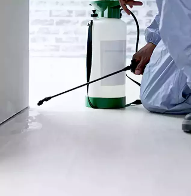 Why Choose Cincinnati Pest Control Pro for Rat Exterminator in Cincinnati, OH?