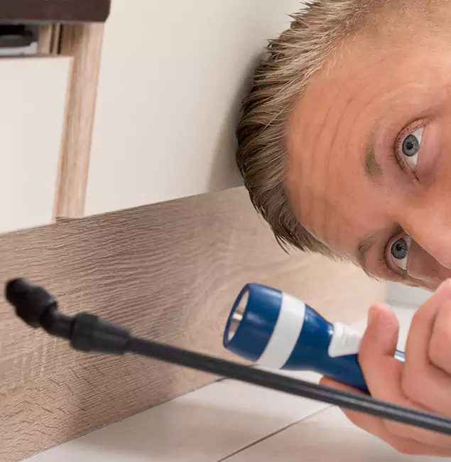 Why Choose Cincinnati Pest Control Pro for Rodent Exterminator in Cincinnati, OH?