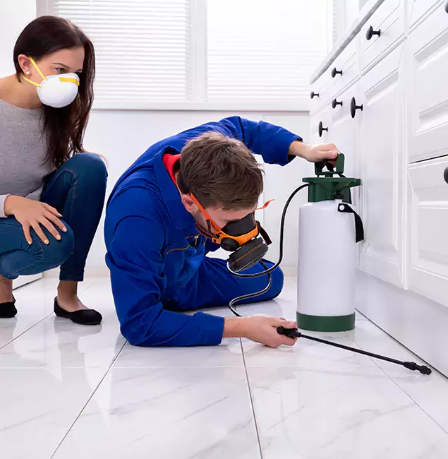 Why Choose Wood Termite Treatment by Cincinnati Pest Control Pro in Cincinnati, OH?