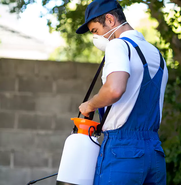 Why Cincinnati Pest Control Pro Is the Right Choice for Yellow Jacket Removal in Cincinnati, OH?