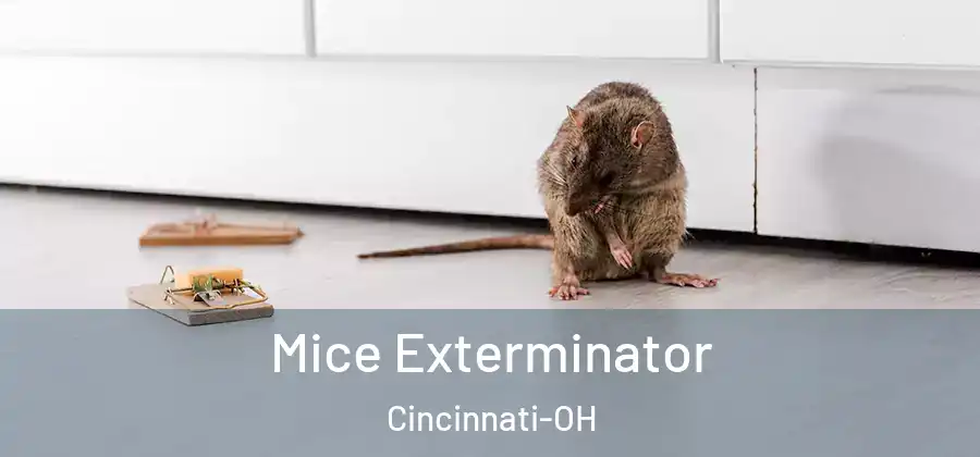 Mice Exterminator Cincinnati-OH