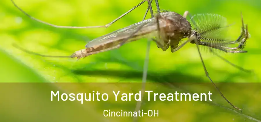 Mosquito Yard Treatment Cincinnati-OH