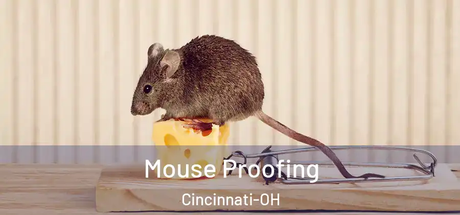 Mouse Proofing Cincinnati-OH