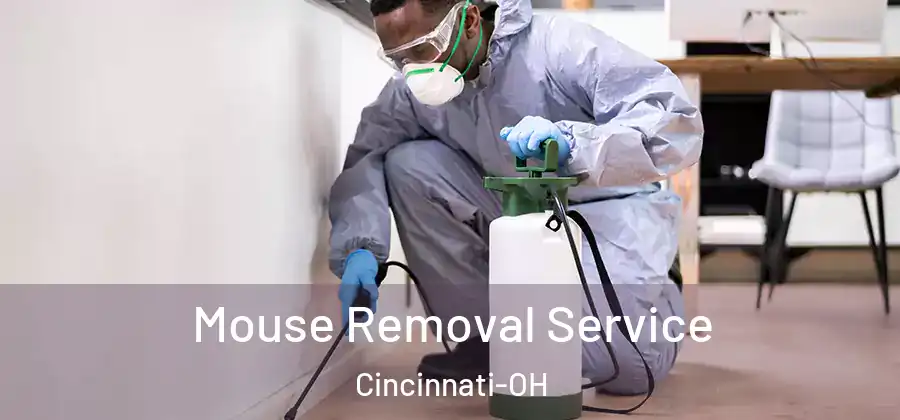 Mouse Removal Service Cincinnati-OH