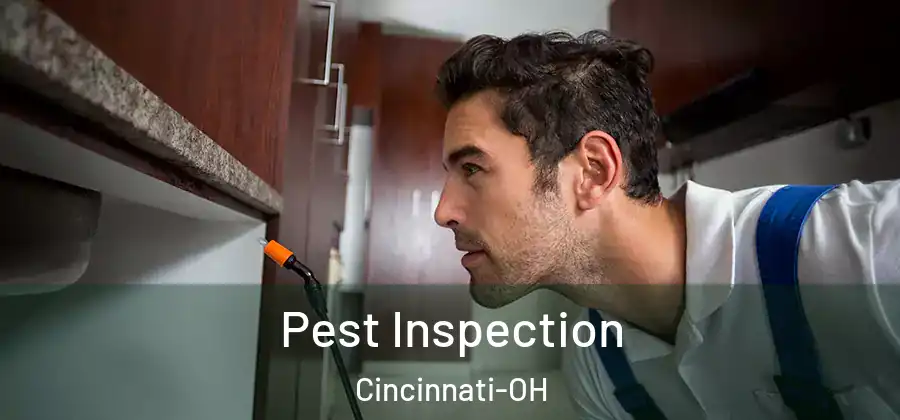 Pest Inspection Cincinnati-OH