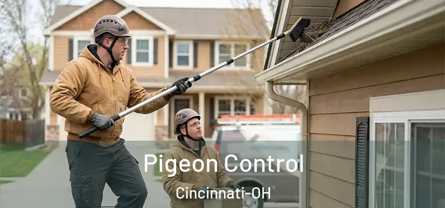 Pigeon Control Cincinnati-OH