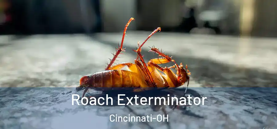 Roach Exterminator Cincinnati-OH