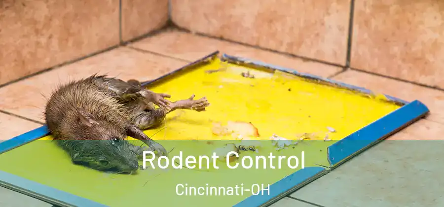 Rodent Control Cincinnati-OH