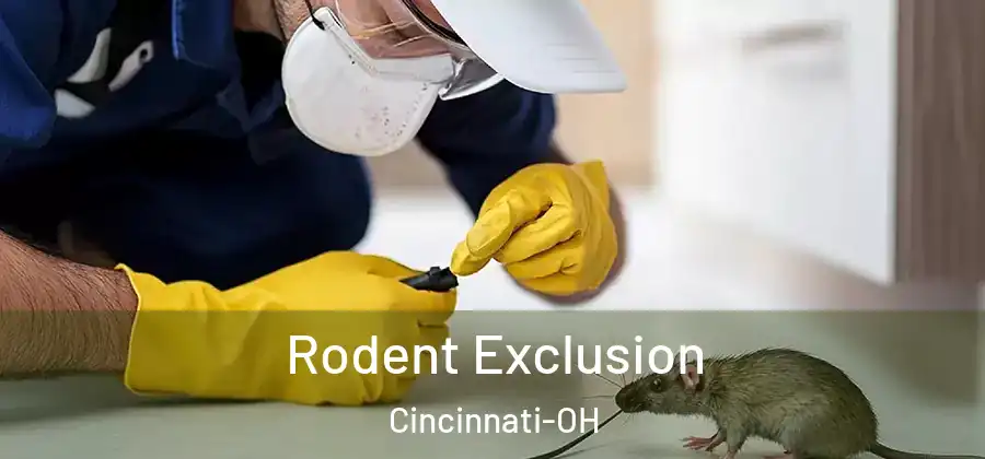 Rodent Exclusion Cincinnati-OH