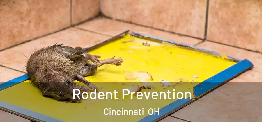 Rodent Prevention Cincinnati-OH