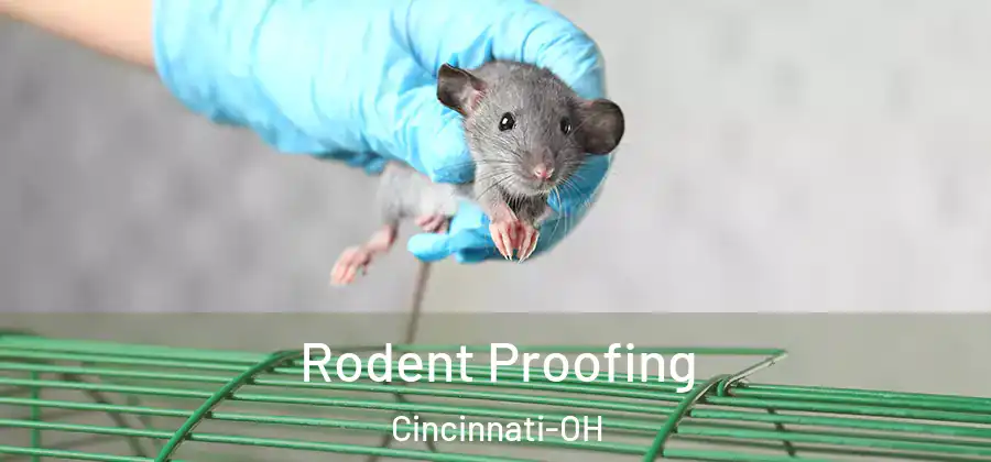 Rodent Proofing Cincinnati-OH
