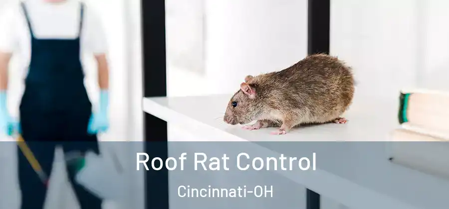 Roof Rat Control Cincinnati-OH