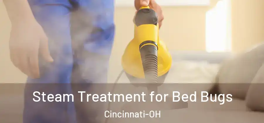Steam Treatment for Bed Bugs Cincinnati-OH