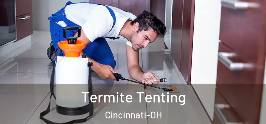 Termite Tenting Cincinnati-OH