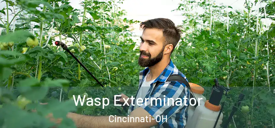 Wasp Exterminator Cincinnati-OH