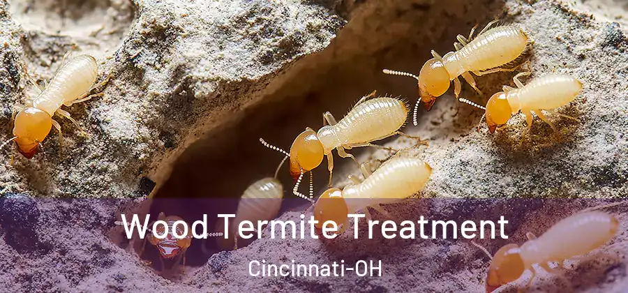 Wood Termite Treatment Cincinnati-OH