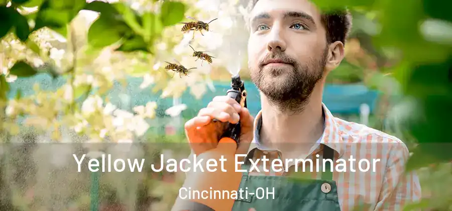 Yellow Jacket Exterminator Cincinnati-OH